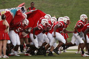 od体育平台-国际热身赛中国青年队战胜 球迷现场助威不断，热身赛国足  第3张